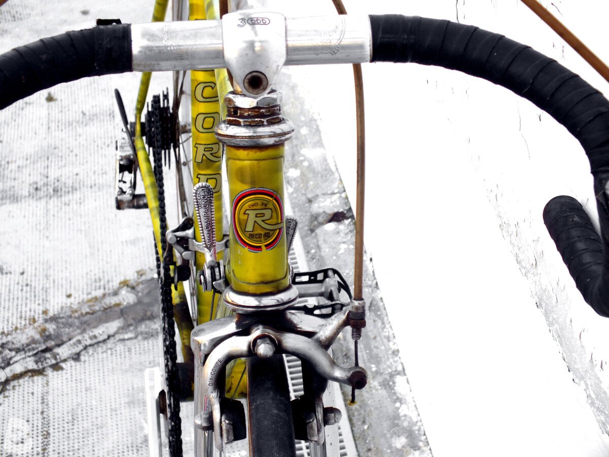 CYCLES RECORD zebrata 1980