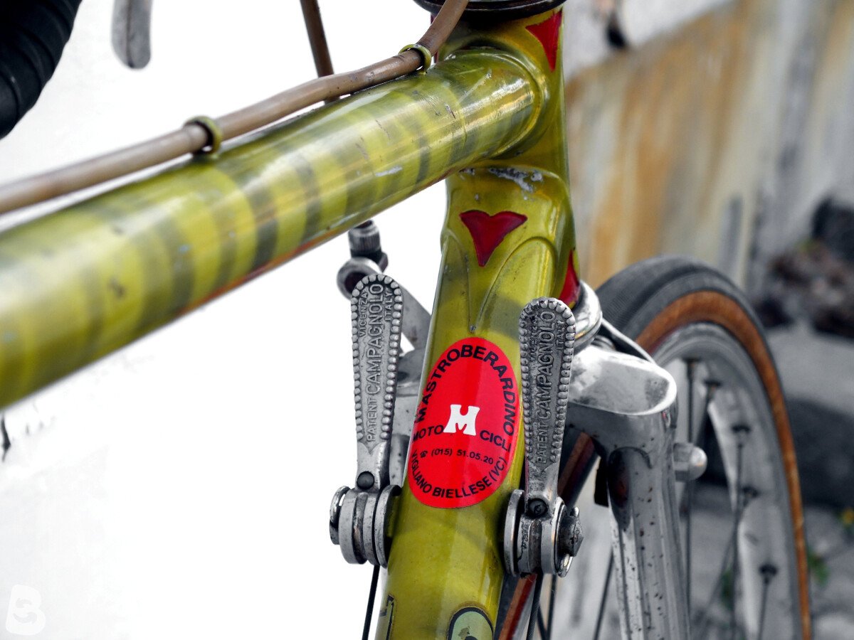 CYCLES RECORD zebrata 1980