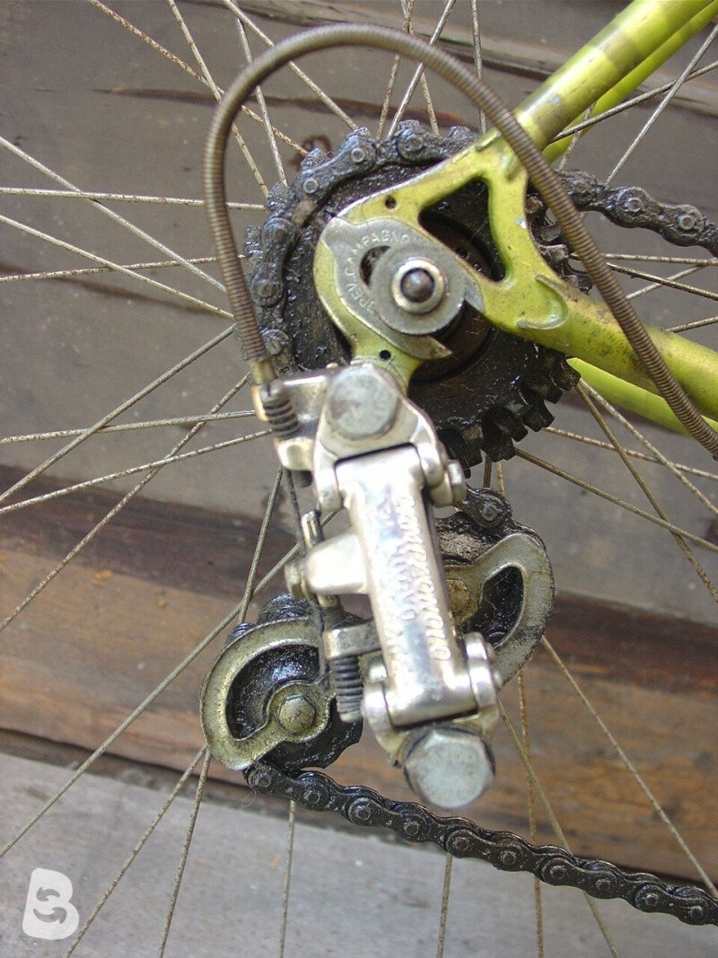 CYCLES RECORD zebrata 1980