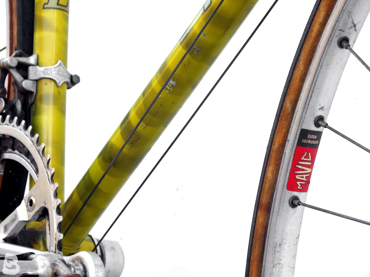 CYCLES RECORD zebrata 1980