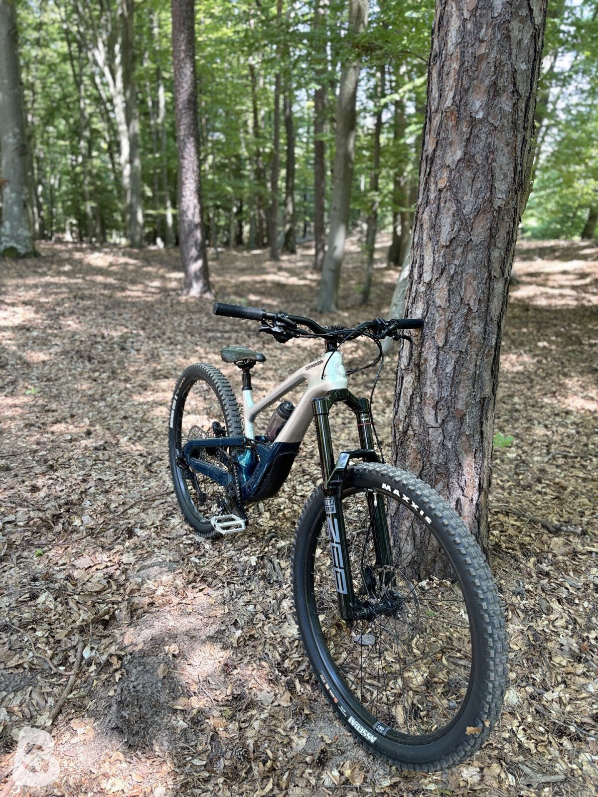 Cannondale Jekyll 2 2025