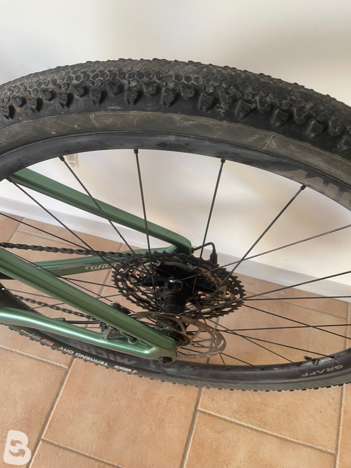 Wilier Adlar 2025