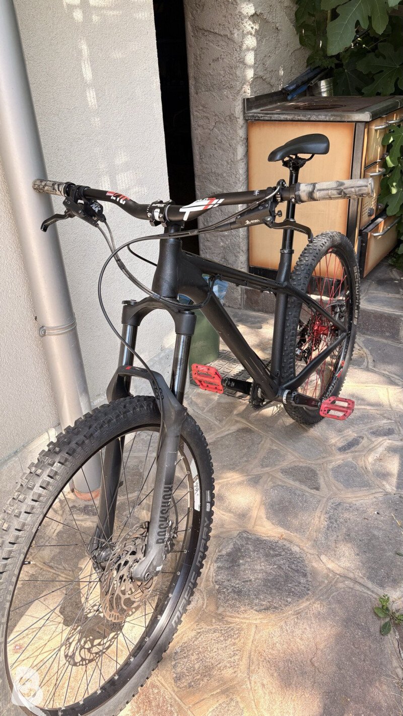 NS Bikes Eccentric Alu 2020