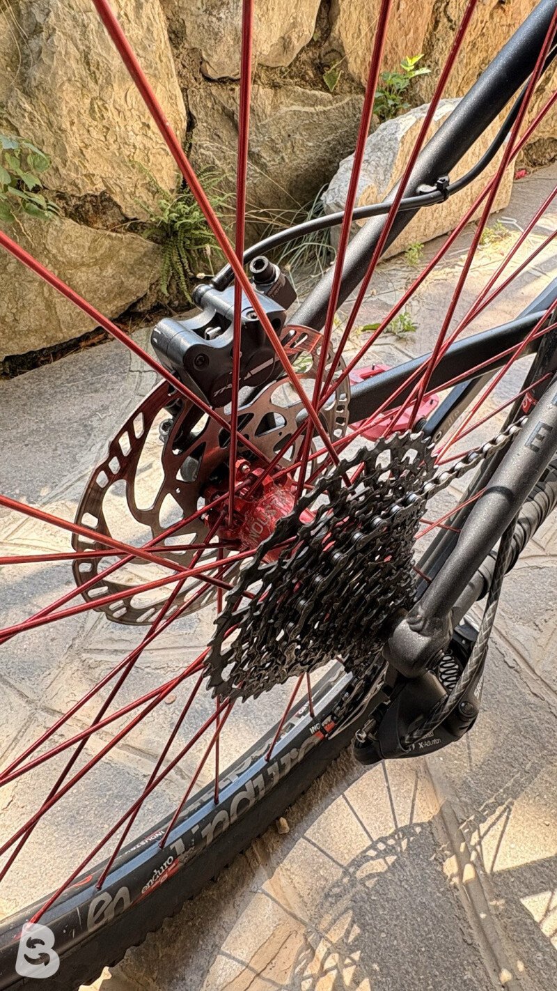 NS Bikes Eccentric Alu 2020