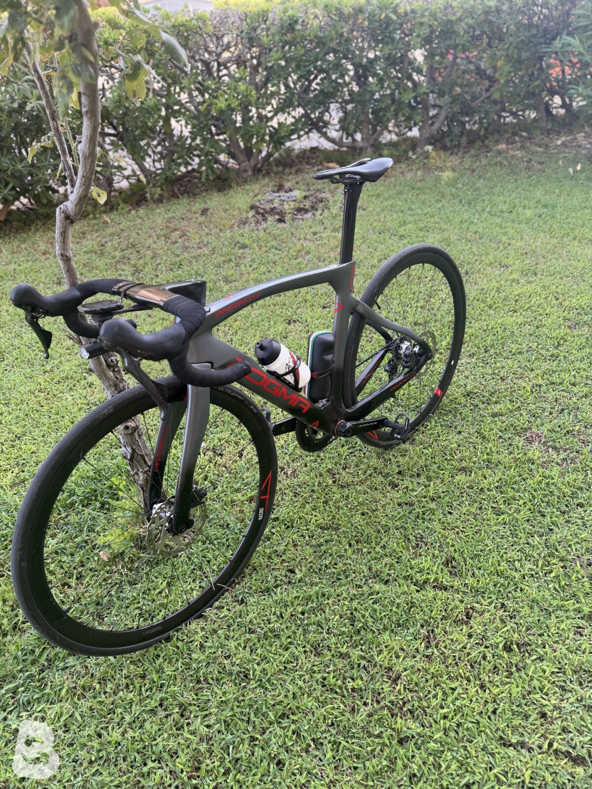 Pinarello Dogma F Disc Dura-Ace Di2 Bike w/Shimano Dura-Ace C50 Wheels 2021