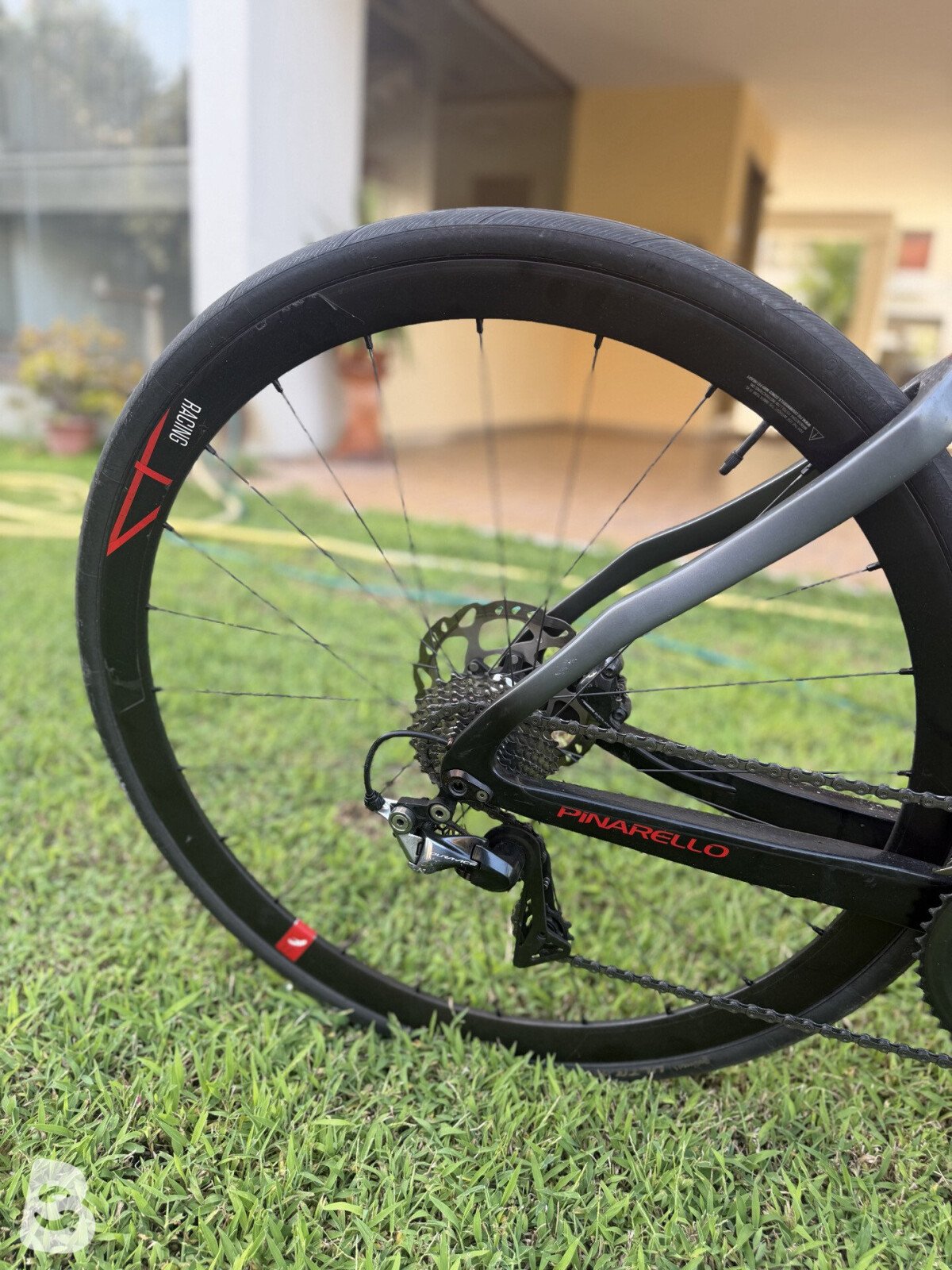 Pinarello Dogma F Disc Dura-Ace Di2 Bike w/Shimano Dura-Ace C50 Wheels 2021