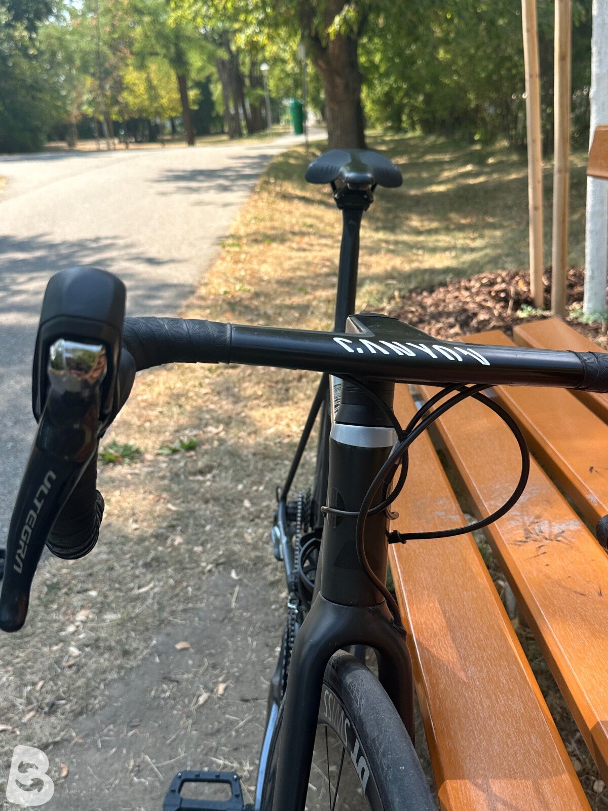 Canyon Cf sl 2020