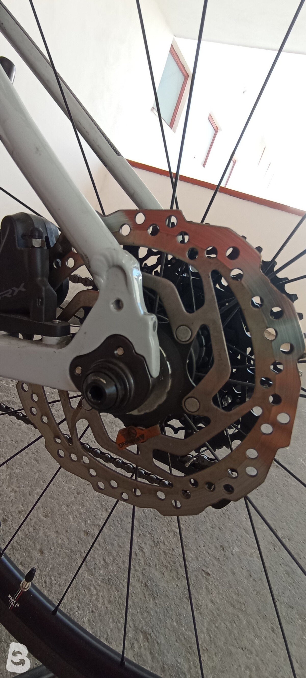Olympia Handy Gravel 2019