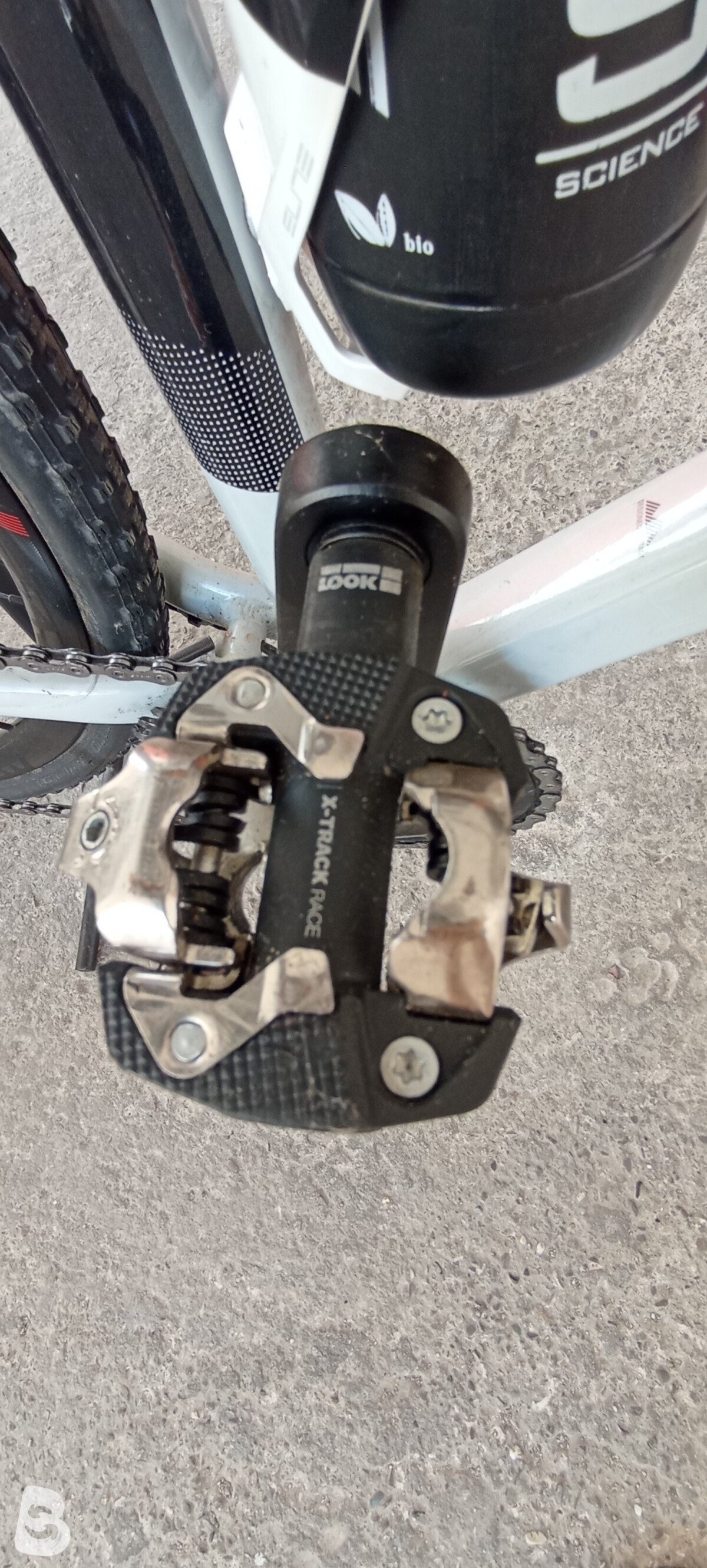 Olympia Handy Gravel 2019