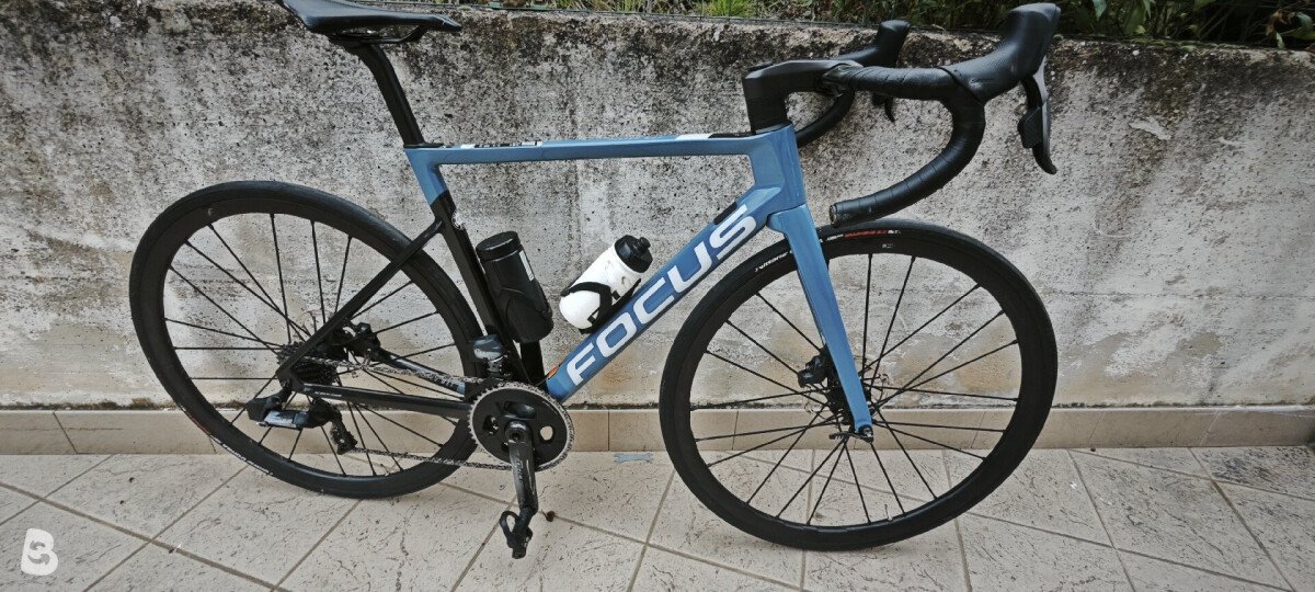 Focus Izalco9.7 2021
