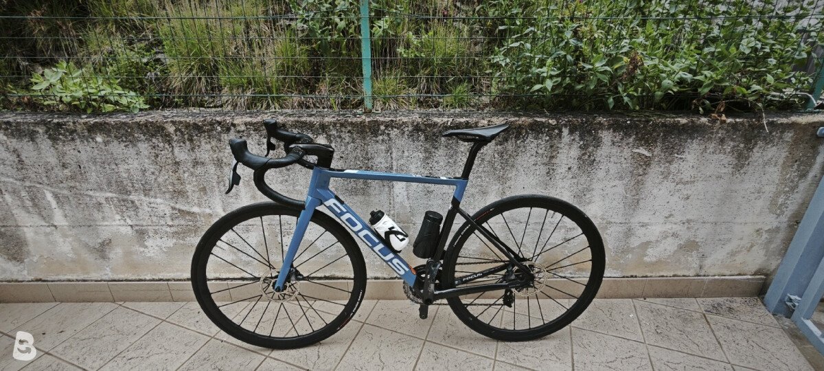 Focus Izalco9.7 2021