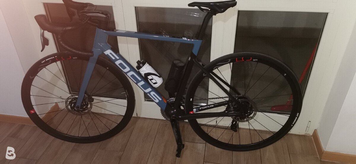Focus Izalco9.7 2021