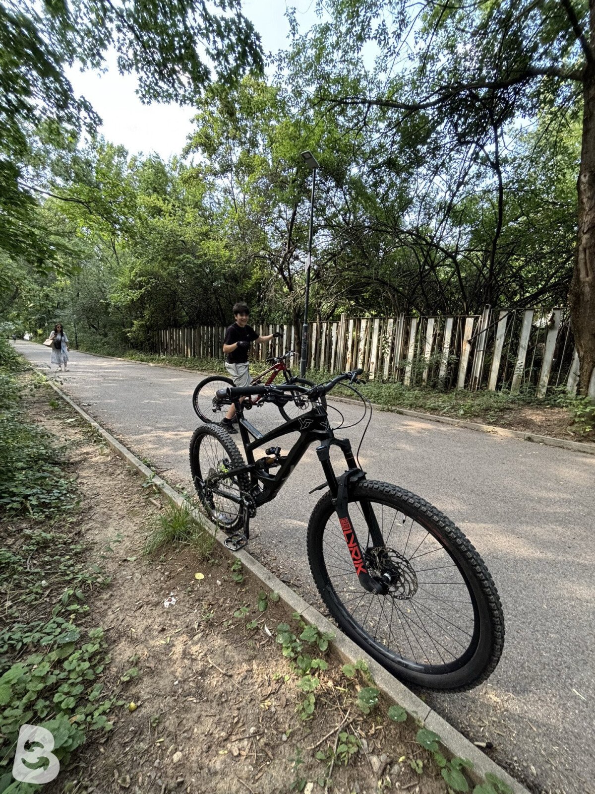 YT Industries Capra CF Pro Race 2017