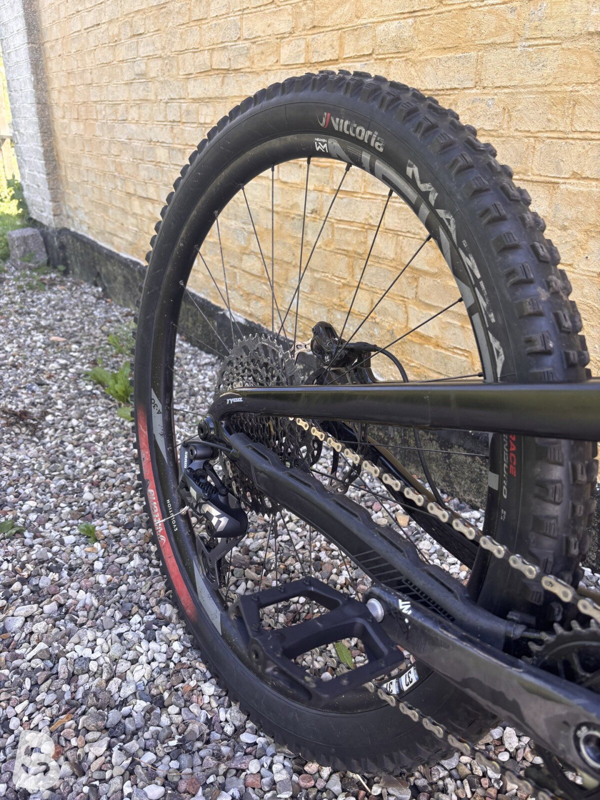 Propain Tyee Cf 5 2024