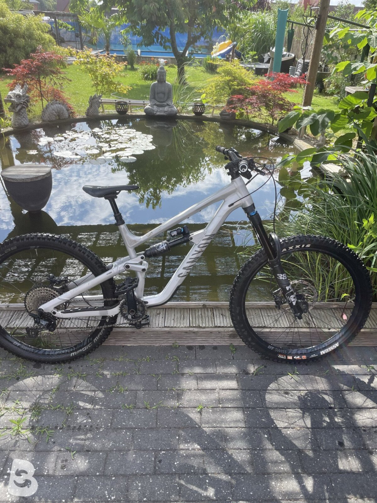 Canyon Torque Mullet CF 8 2022