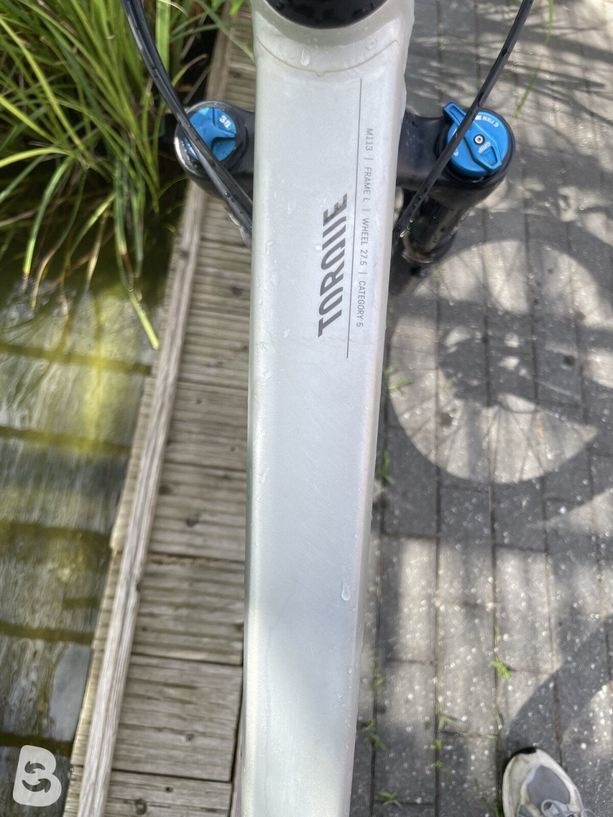 Canyon Torque Mullet CF 8 2022