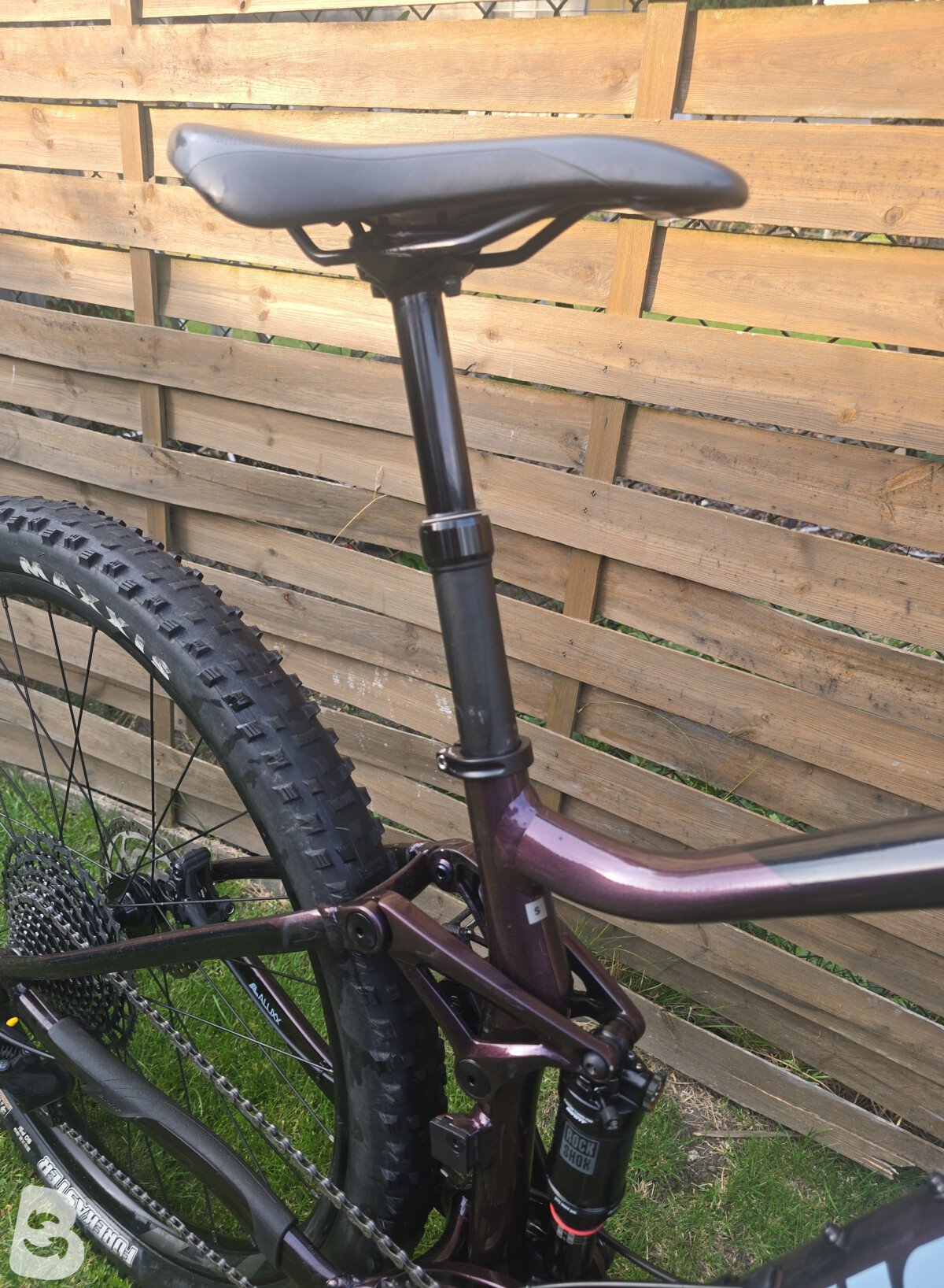 Giant Stance 29 1 2022