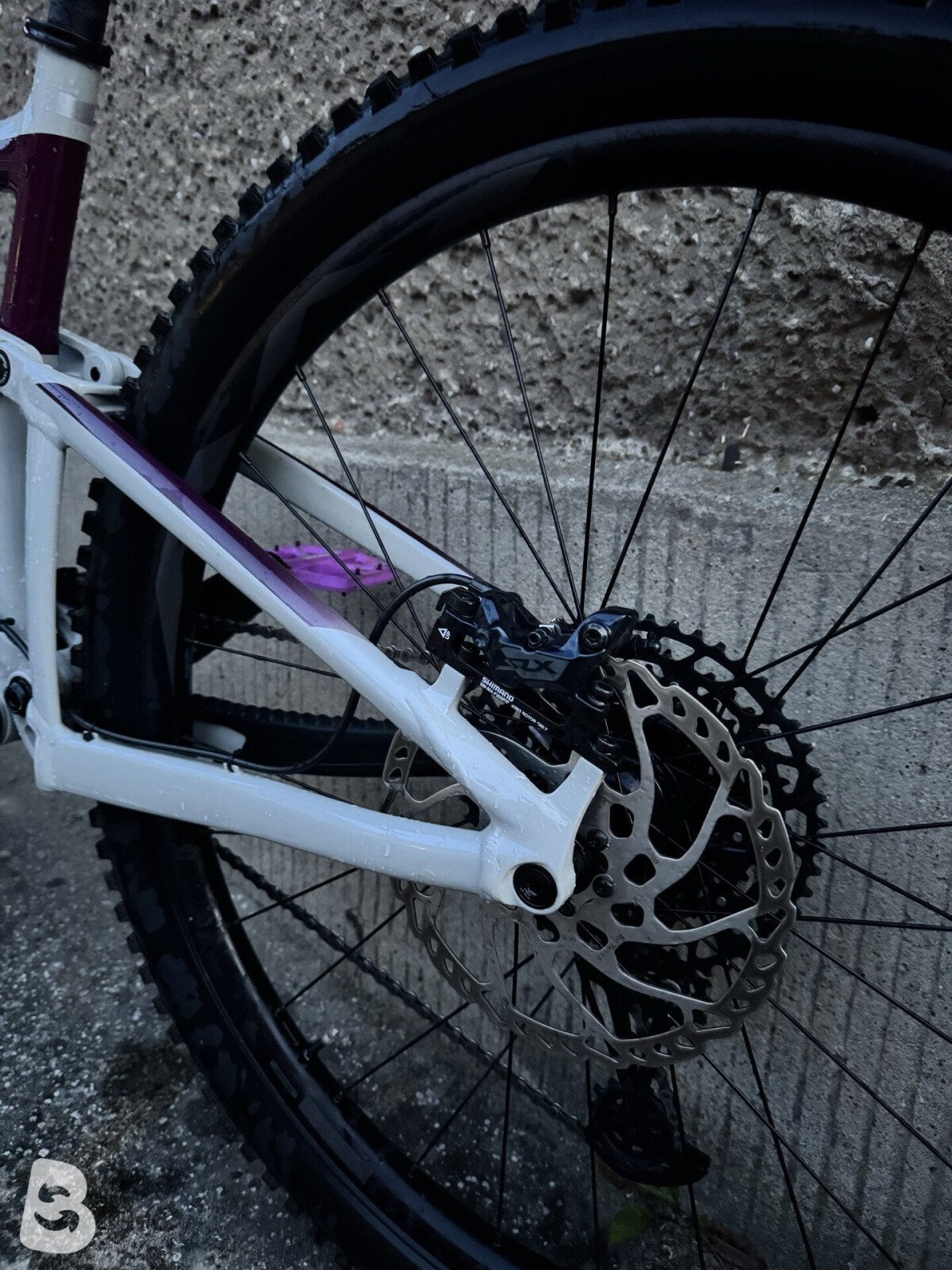 Giant Reign SX 2021