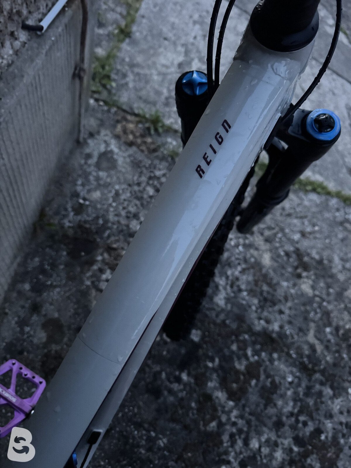 Giant Reign SX 2021
