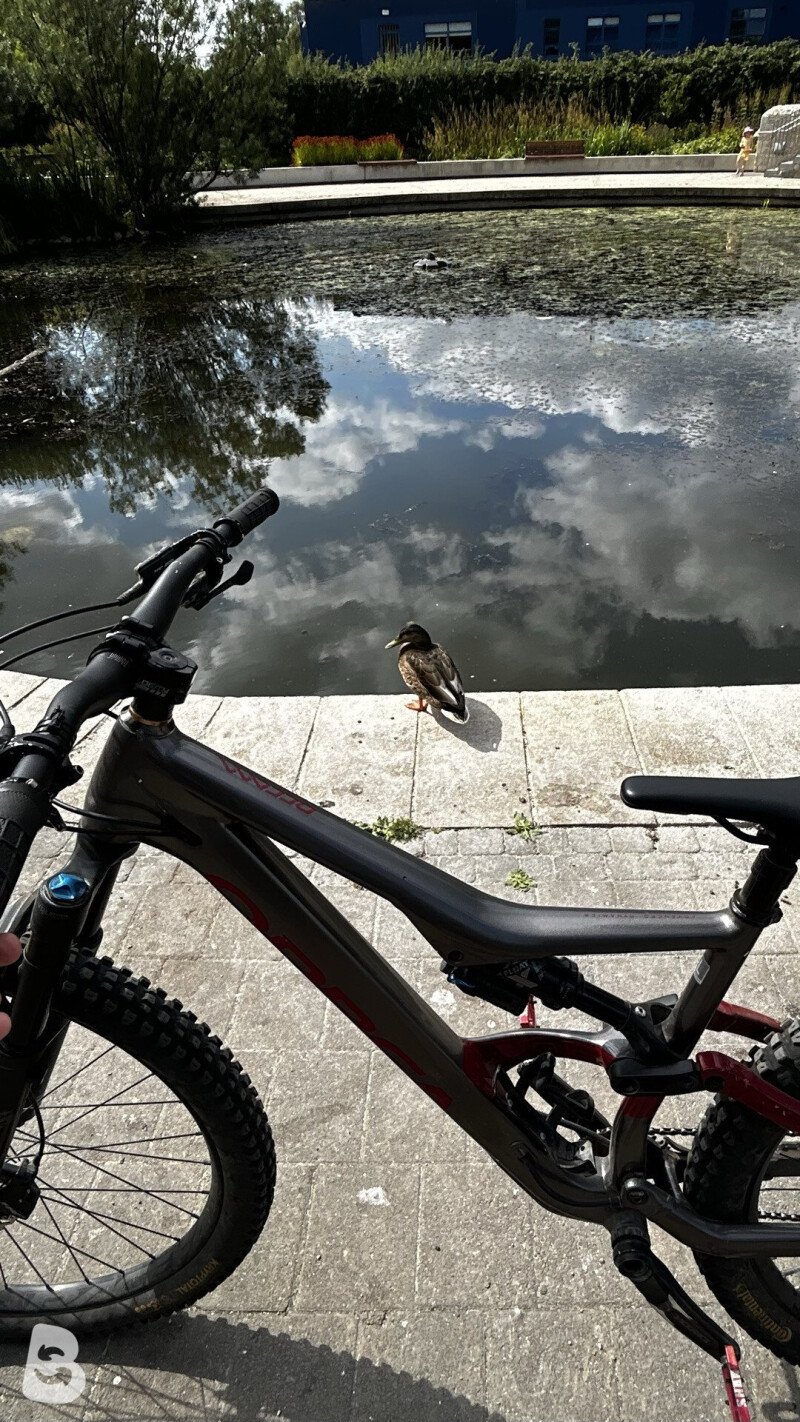 Orbea Occam H20 2022