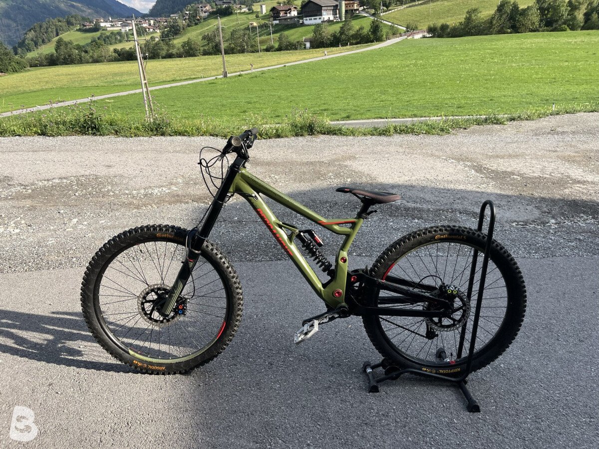 Bergamont Straitline 7 2020