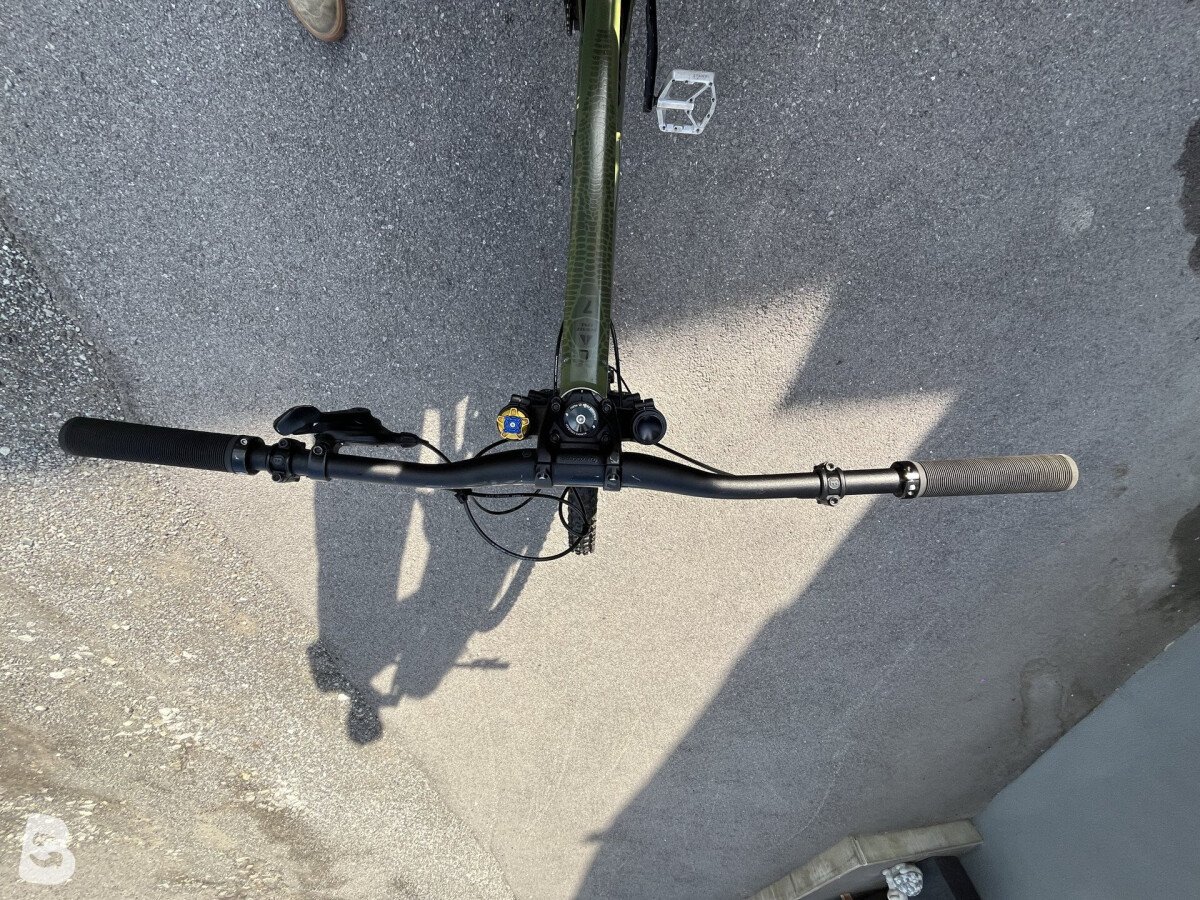 Bergamont Straitline 7 2020