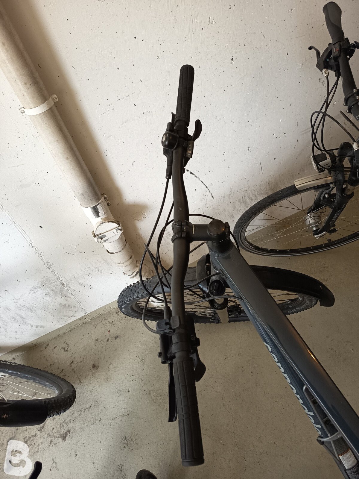 Cannondale Trail 2019