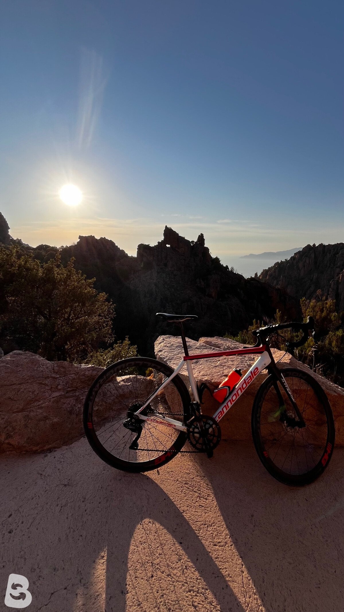 Cannondale Synapse Carbon Disc Ultegra Di2 2019