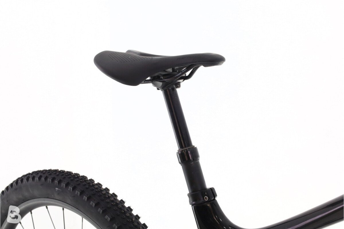 Giant Reign Pro 2 2021