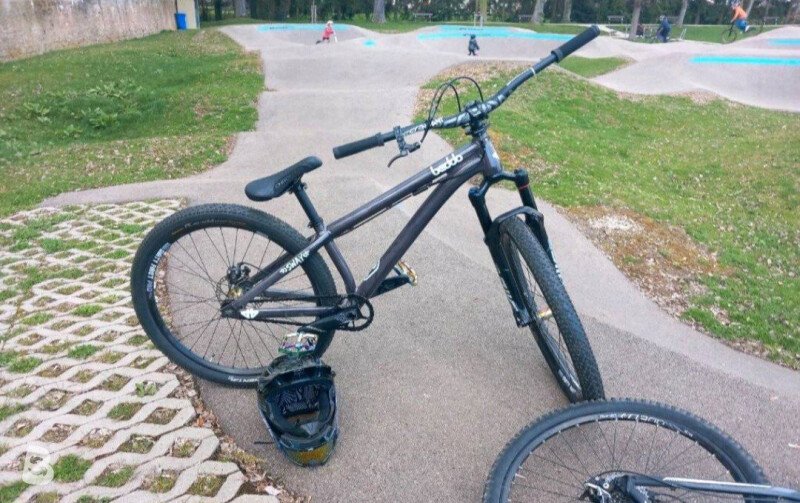 Beddo Sway 2024