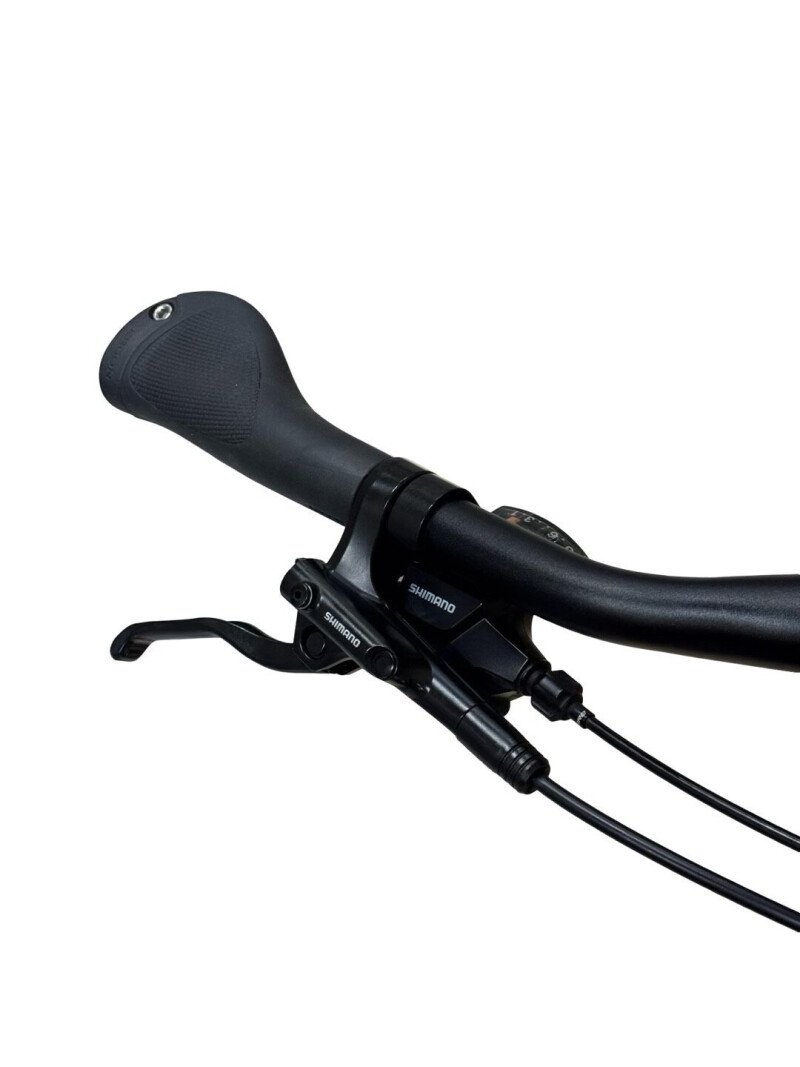 Kalkhoff Endeavour 1.B Move 545 Shimano Acera 2024