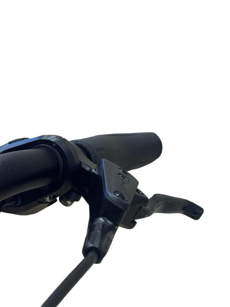 Kettler Quadriga T&C Pro Belt Shimano Nexus 2022