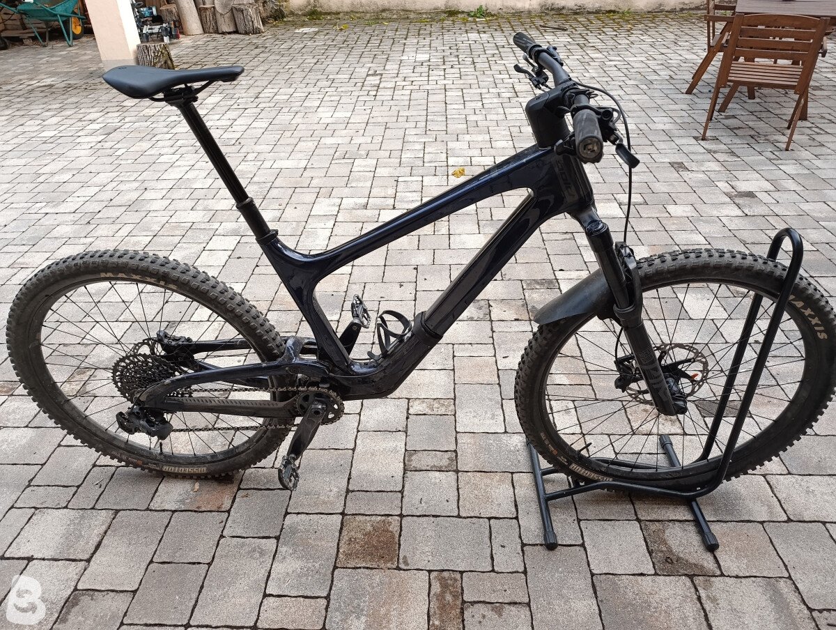 Bold Linkin 135 2024