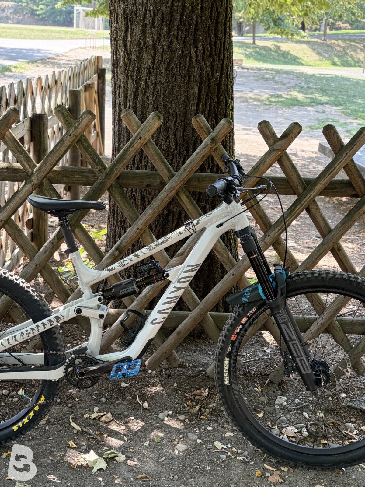 Canyon Torque AL 6.0 2024