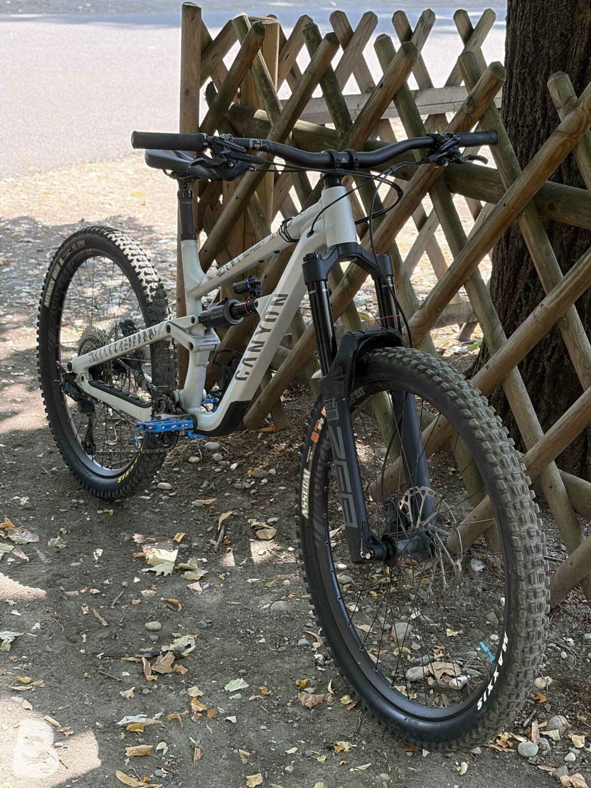 Canyon Torque AL 6.0 2024