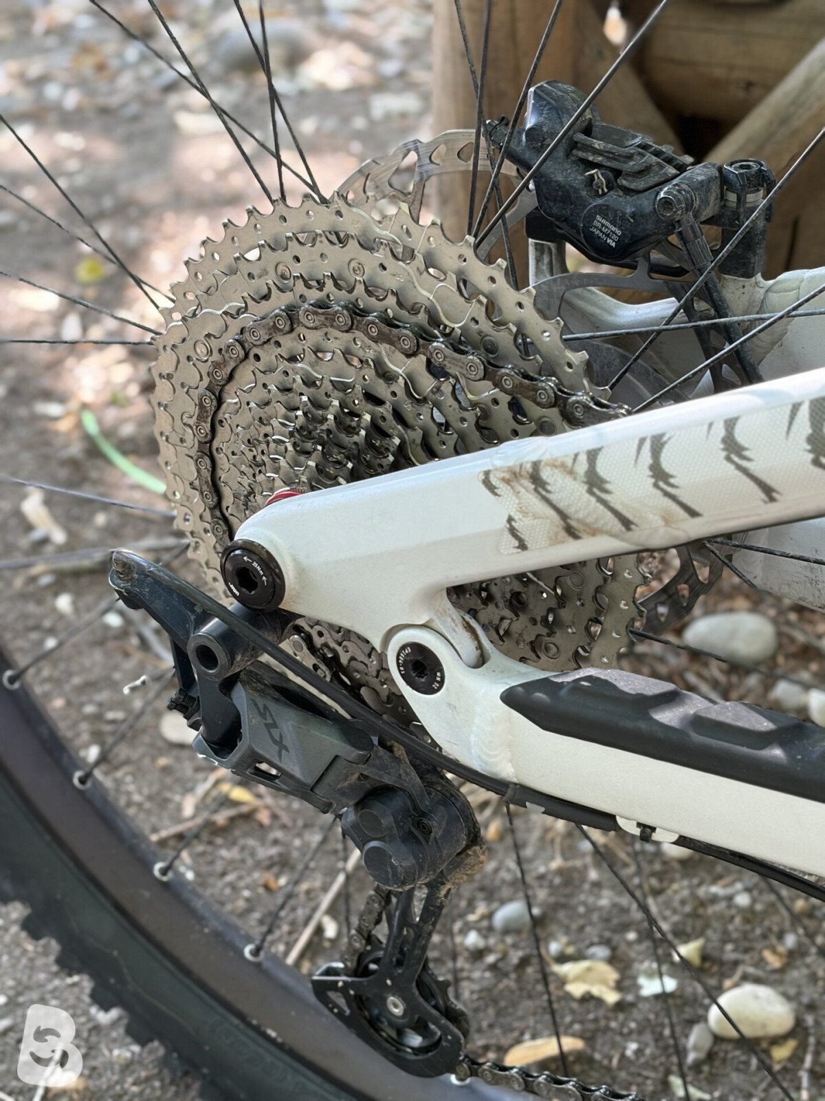 Canyon Torque AL 6.0 2024