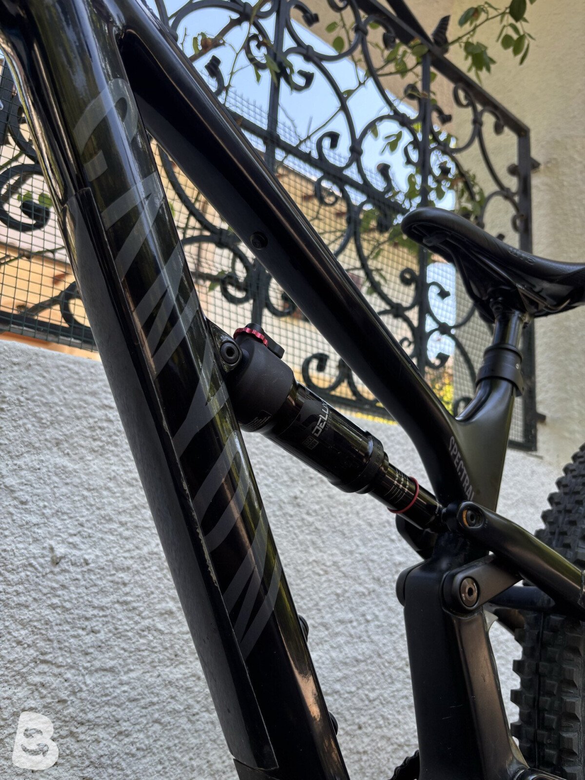 Canyon spectral cf 8 2021
