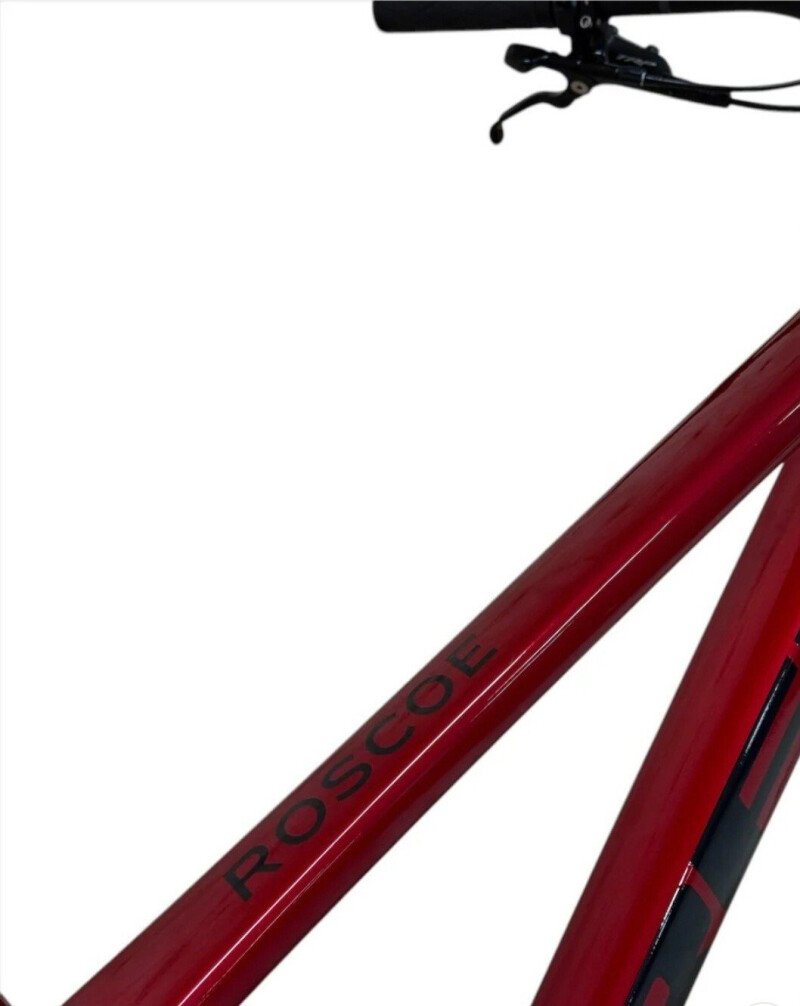 Trek Roscoe 9 2025
