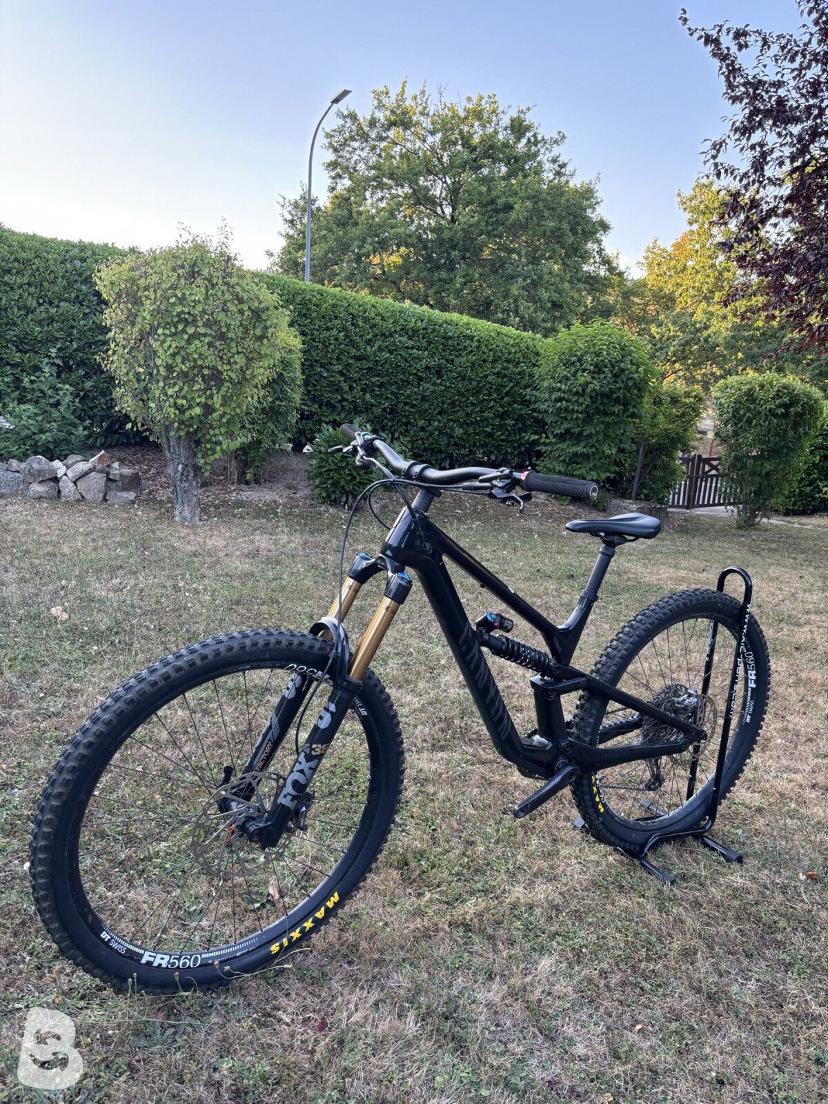 Canyon Torque CF8 2022
