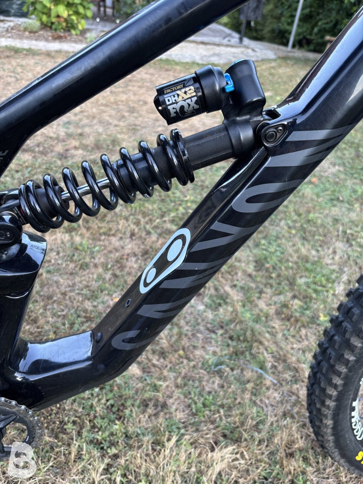 Canyon Torque CF8 2022