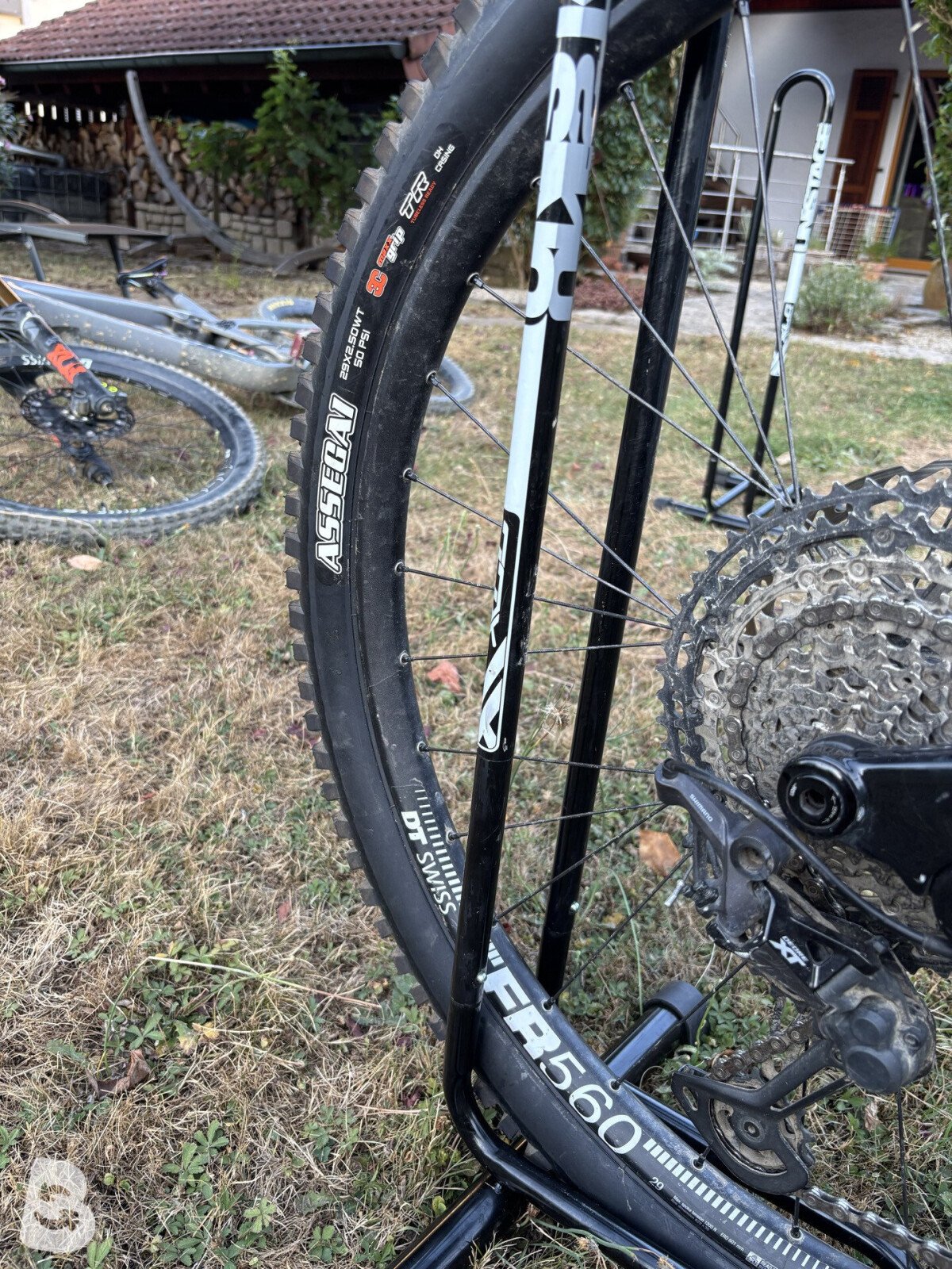 Canyon Torque CF8 2022