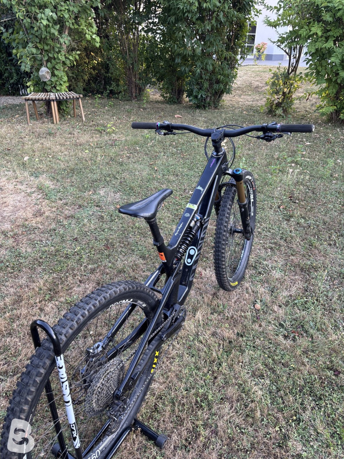 Canyon Torque CF8 2022
