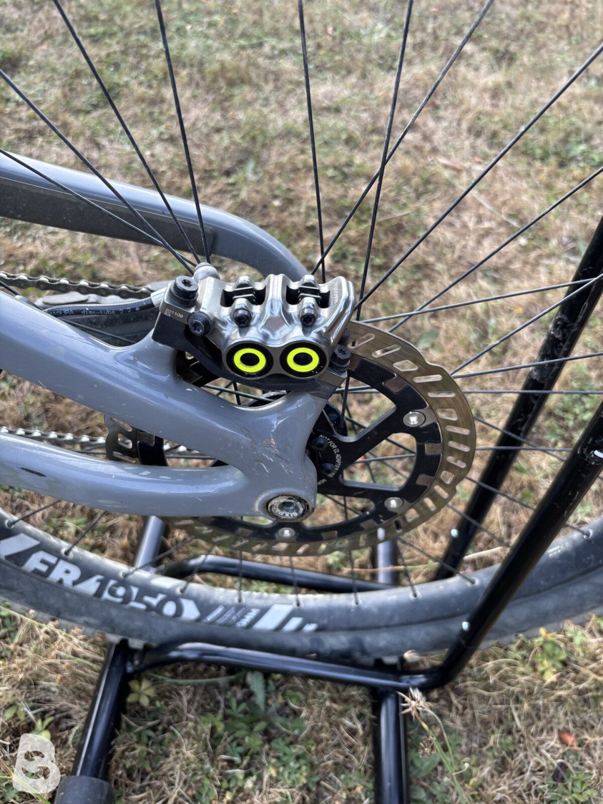 Propain Spindrift CF High End 2021