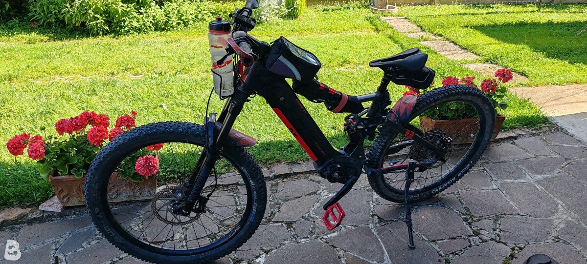 Adriatica Tora 2024