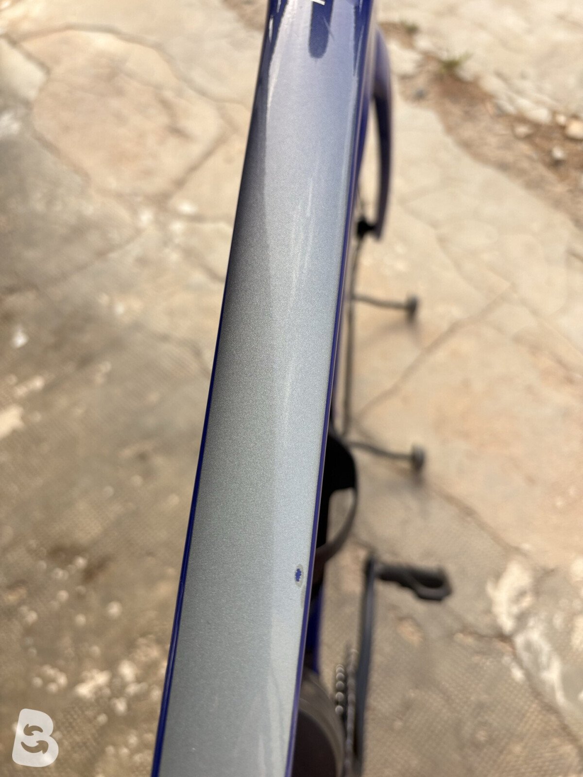 Giant Propel, Advanced 1 2024