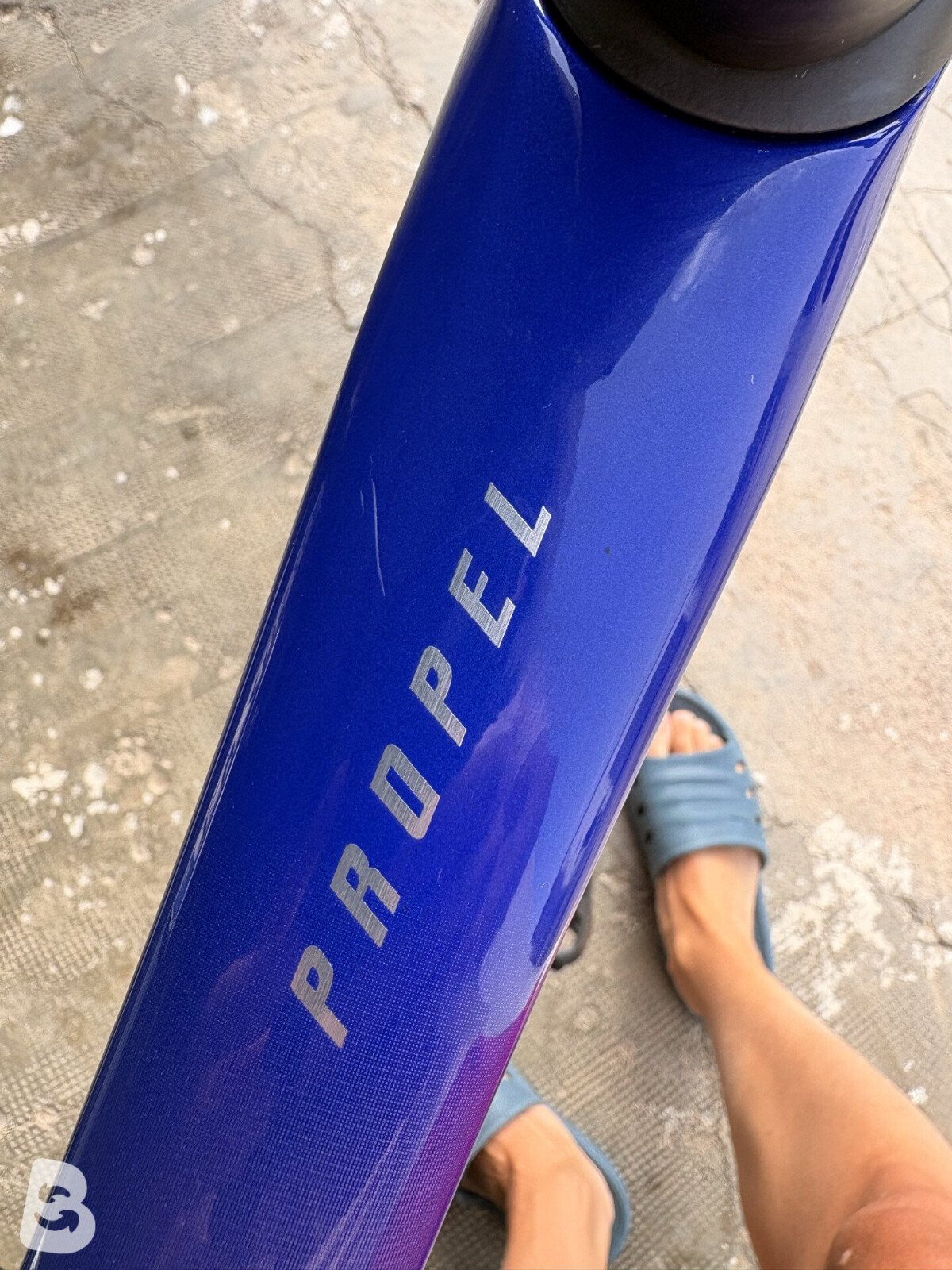 Giant Propel, Advanced 1 2024