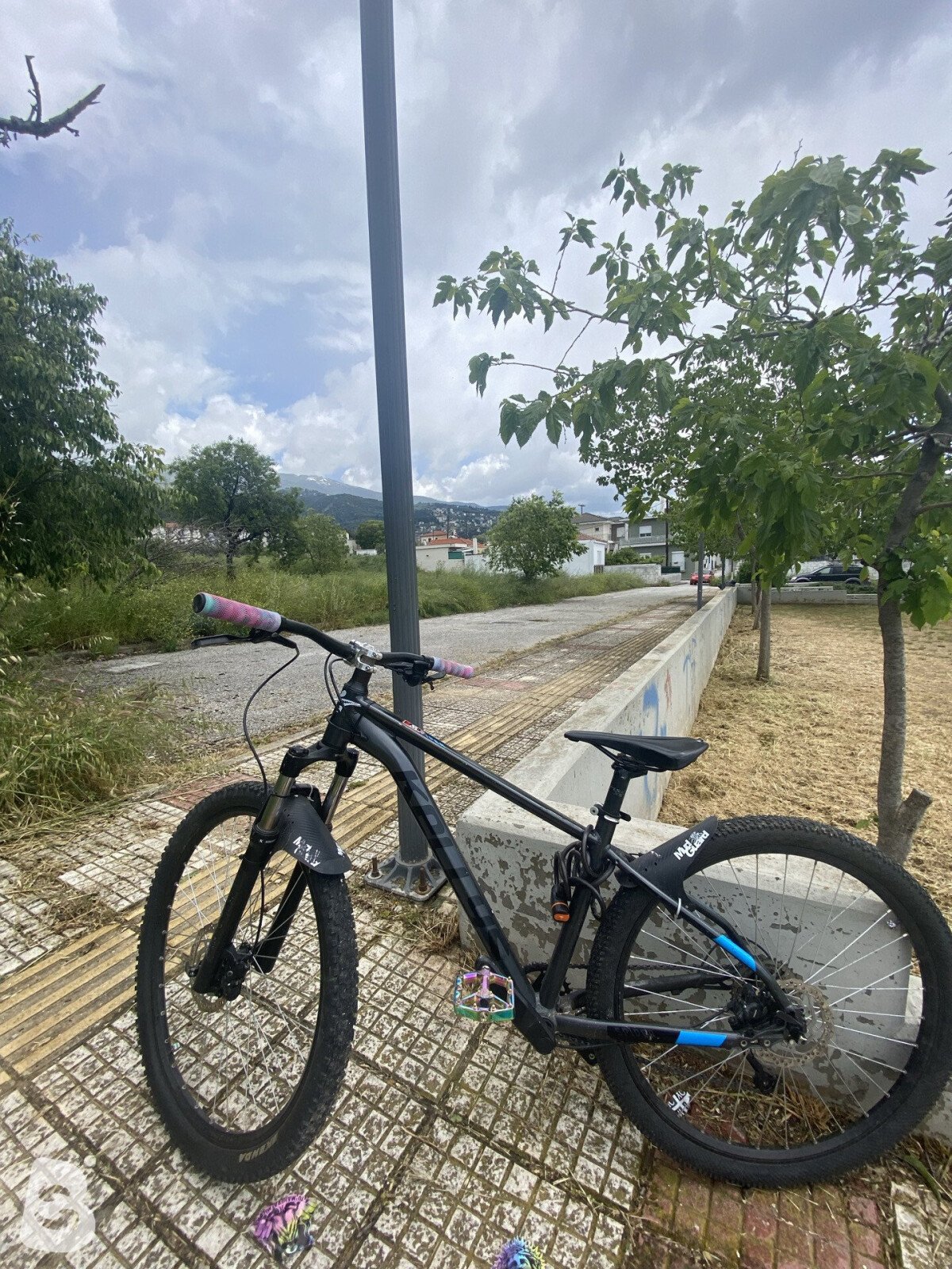 Kellys SPIDER 80 29" 2023
