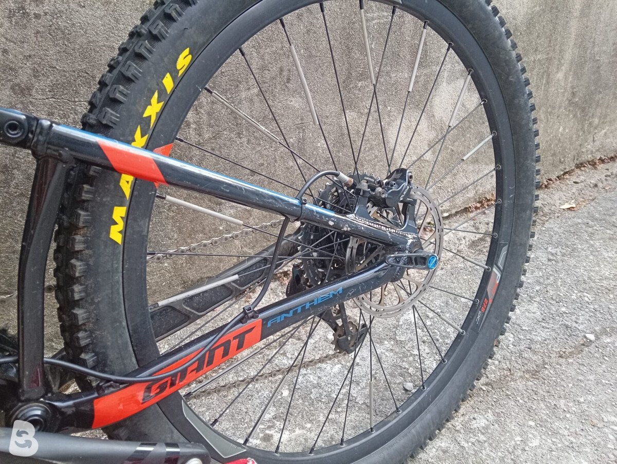 Giant Anthem SX1 2019