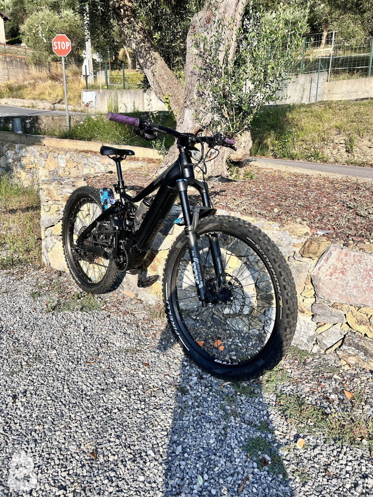 Bulls E-Stream EVO AM 4 2019
