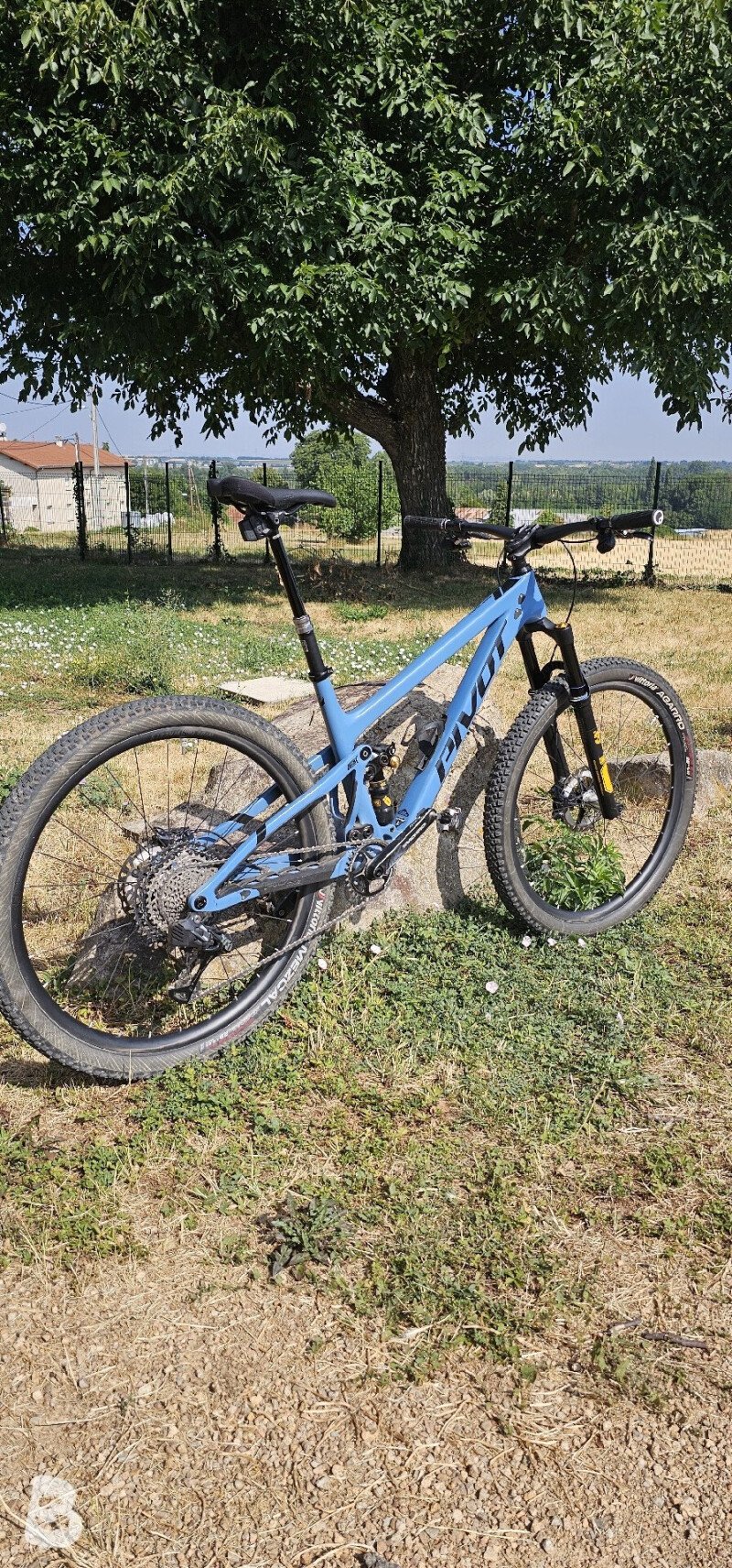 Pivot Trail 429 Pro XT/XTR 2021